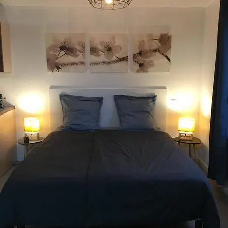 Confort, Avec Terrasse Daire Niederbronn-les-Bains